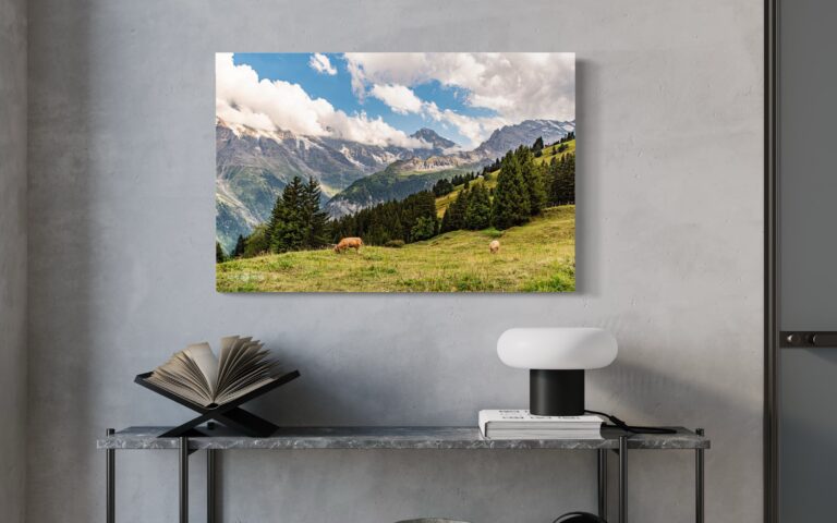 Canvas Switzerland