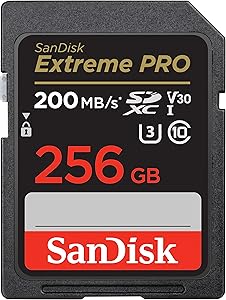 SanDisk